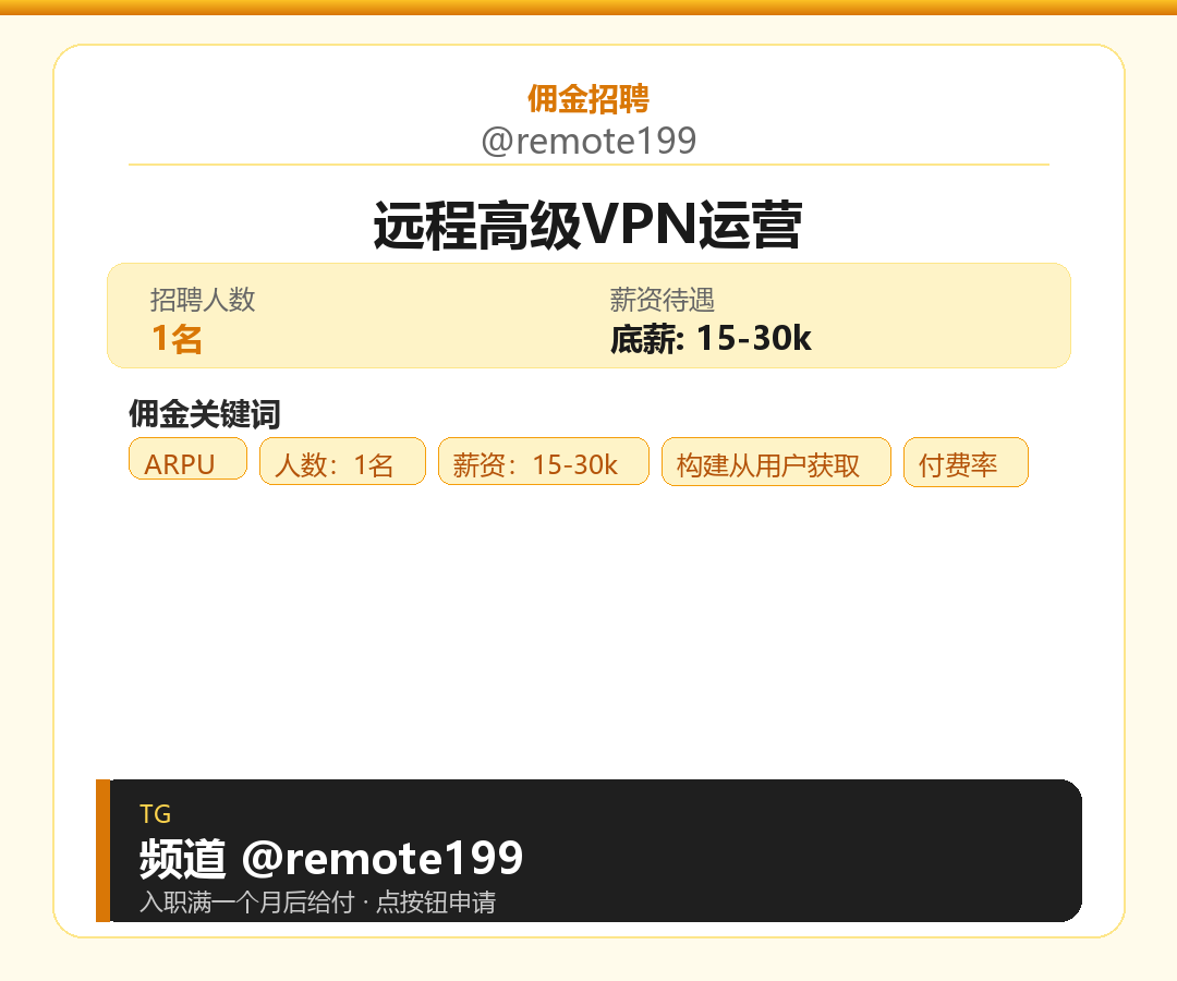 远程高级VPN运营岗位配图