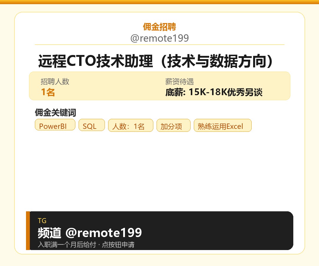 远程CTO技术助理（技术与数据方向）岗位配图
